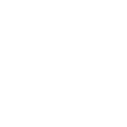 Gambit