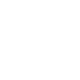 Run Protector