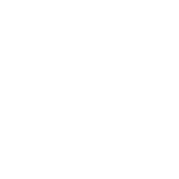 Satellite